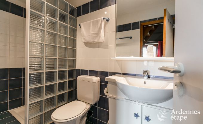 Luxe villa in Tenneville voor 26 personen in de Ardennen