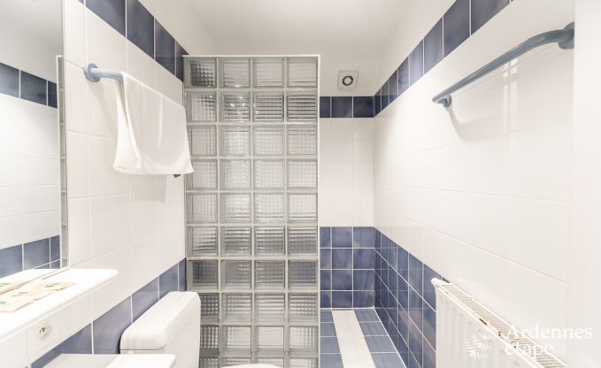 Luxe villa in Tenneville voor 26 personen in de Ardennen