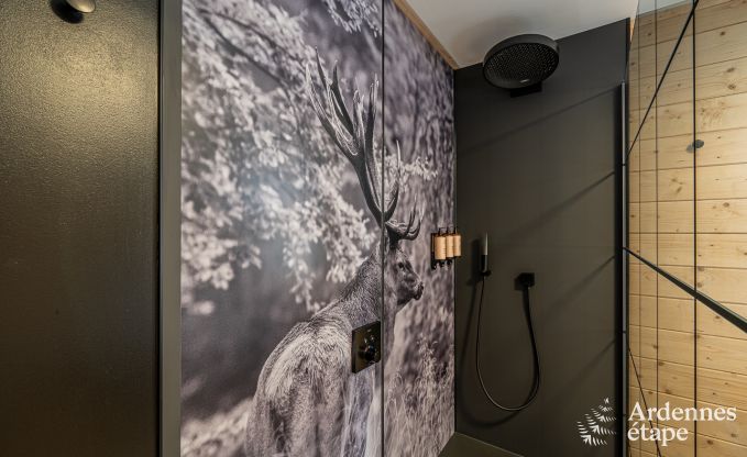 Vakantiehuis in Tenneville voor 10 personen in de Ardennen