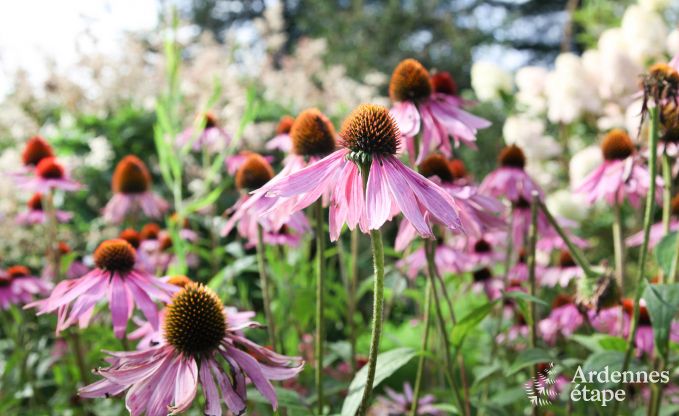 Cottage in Theux (Spa) voor 2 personen in de Ardennen