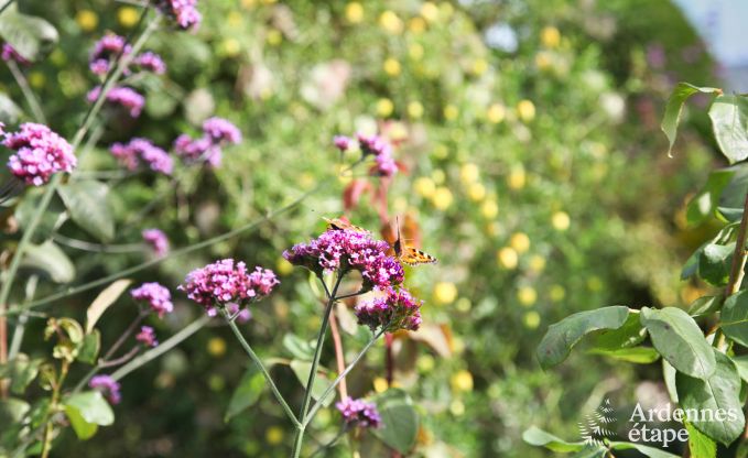 Cottage in Theux (Spa) voor 2 personen in de Ardennen