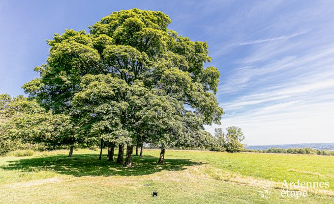 Kasteel in Theux voor 40 personen in de Ardennen