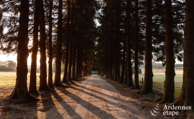 Kasteel in Theux voor 40 personen in de Ardennen