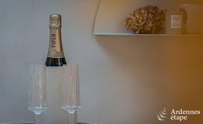 Comfortabele loft voor 4 personen in Thimister-Clermont