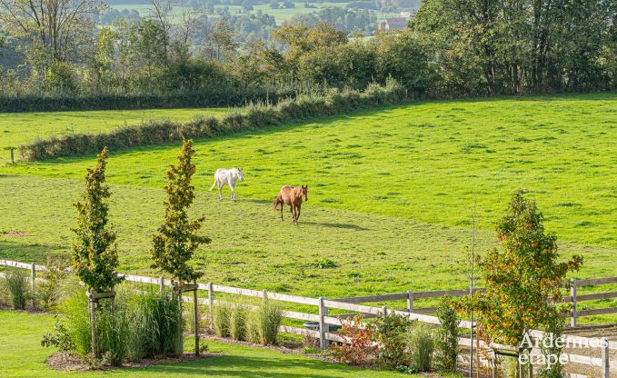 Romantische loft voor 2 p. met wellness en projectieruimte in Thimister-Clermont
