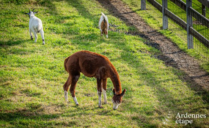 Romantische loft voor 2 p. met wellness en projectieruimte in Thimister-Clermont