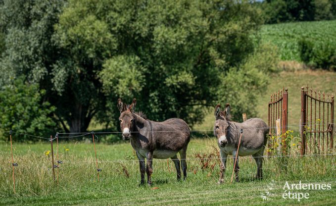 Vakantiehuis in Thimister-Clermont voor 2 personen in de Ardennen