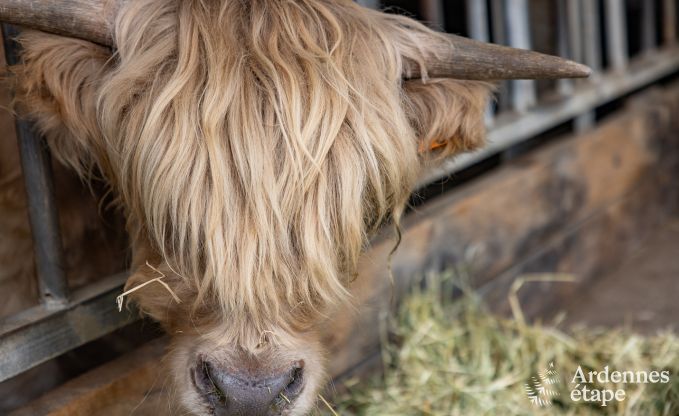 Cottage in Thimister-Clermont voor 4/6 personen in de Ardennen