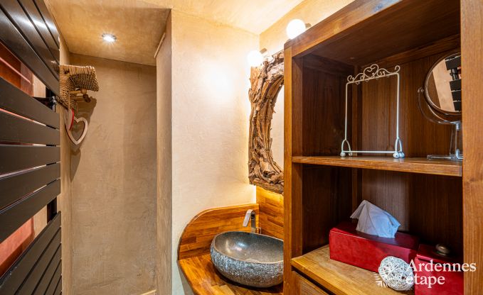 Vakantiehuis in Thuin voor 8 personen in de Ardennen