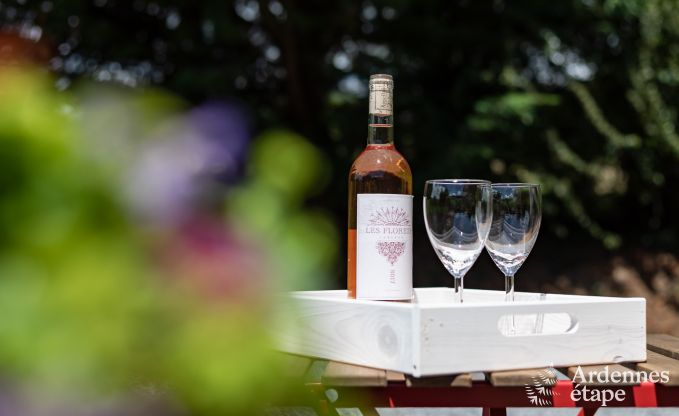 Vakantiehuis in Tinlot voor 2/4 personen in de Ardennen