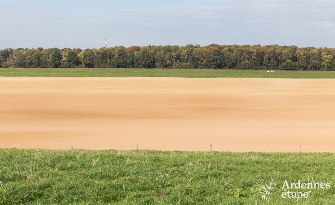 Vakantiehuis in Tinlot voor 4 personen in de Ardennen
