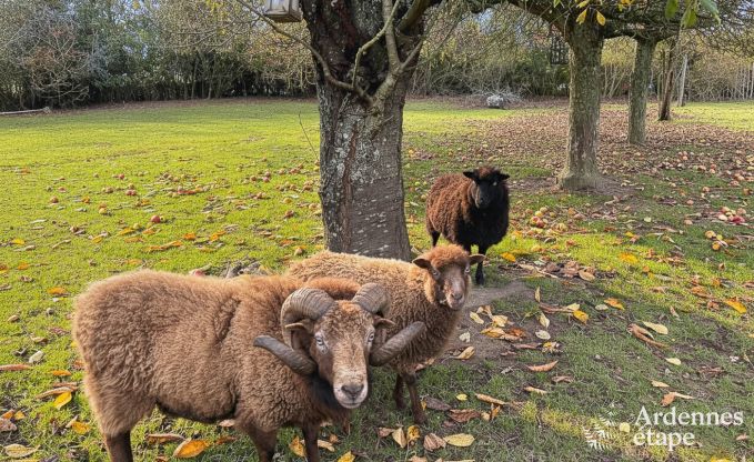 Ruime vakantiewoning voor 9 personen in Tinlot met 4 slaap- en badkamers,  zwembad, priv�tuin en speelvoorzieningen