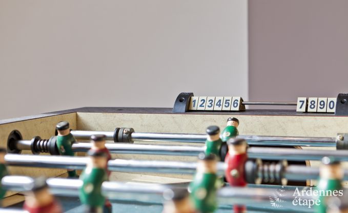 Kasteel in Tintigny voor 20 personen in de Ardennen