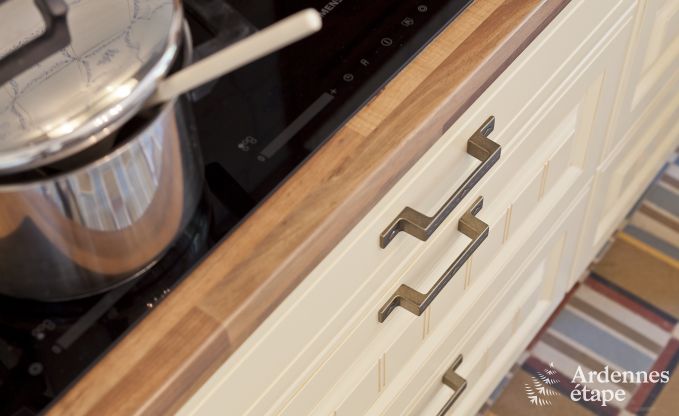 Kasteel in Tintigny voor 20 personen in de Ardennen