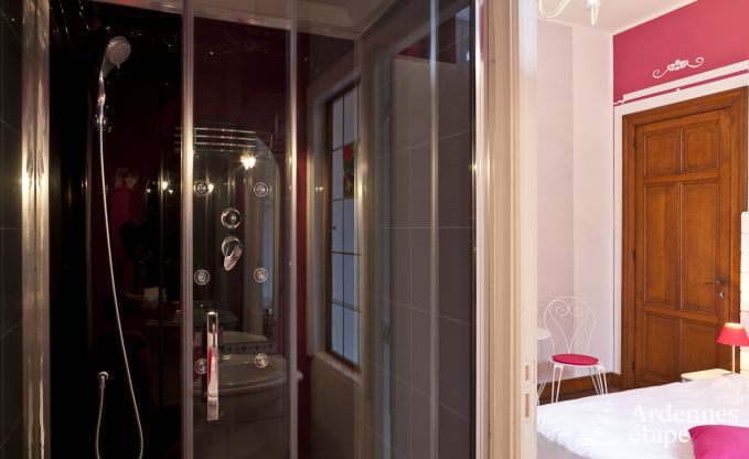 Kasteel in Tintigny voor 20 personen in de Ardennen