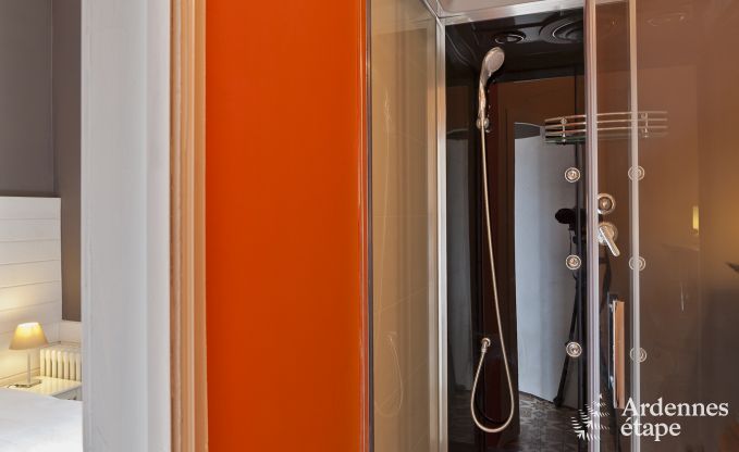 Kasteel in Tintigny voor 20 personen in de Ardennen