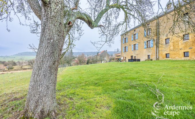 Vakantiehuis in Torgny voor 15 personen in de Ardennen