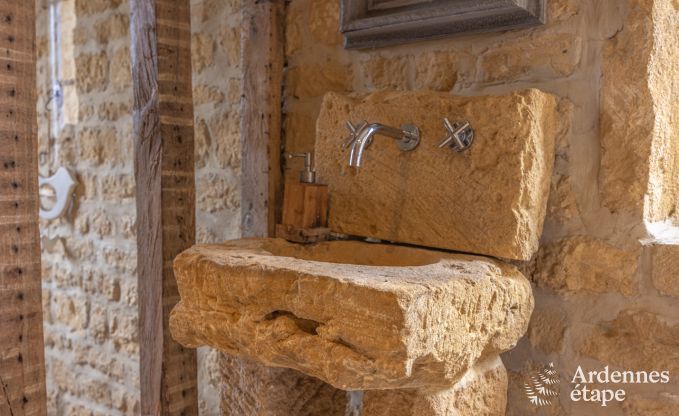 Gezellig en ruim vakantiehuis voor grote groepen en families in Torgny, Gaume