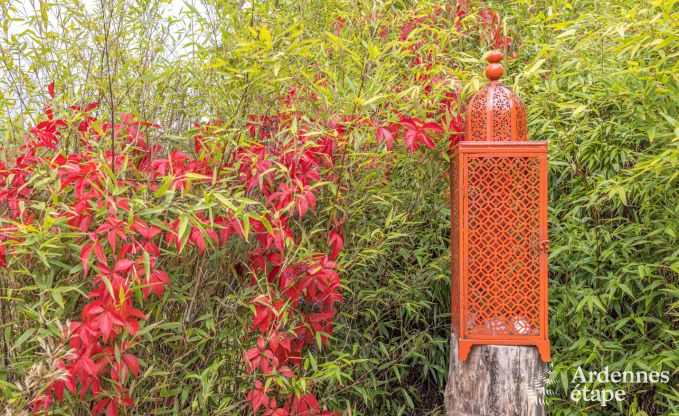 Gezellig en ruim vakantiehuis voor grote groepen en families in Torgny, Gaume