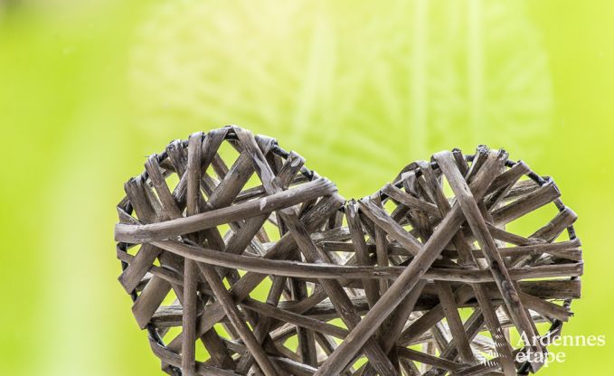 Chalet in Trois-Ponts voor 4 personen in de Ardennen