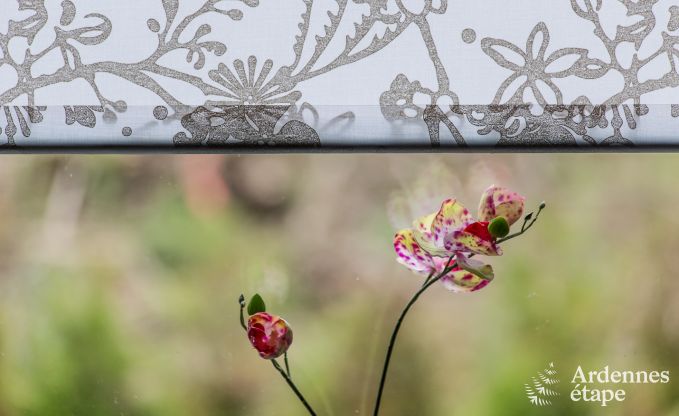 Chalet in Trois-Ponts voor 4 personen in de Ardennen