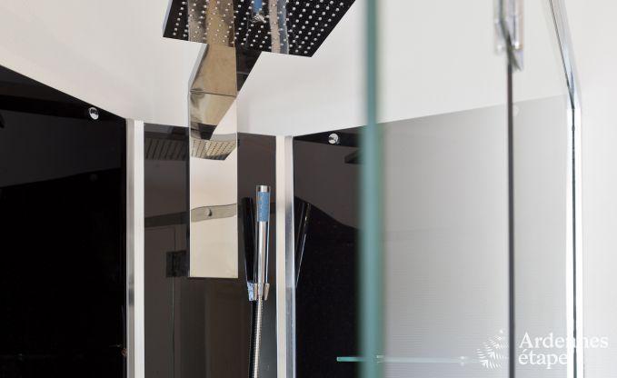 Kasteel in Trois-Ponts voor 14 personen in de Ardennen