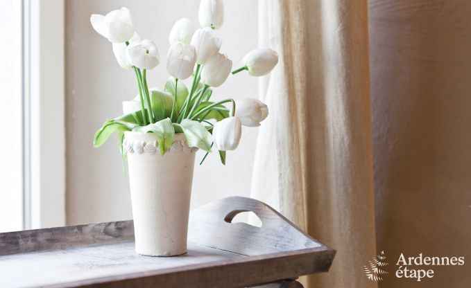 Luxe villa in Trois-Ponts voor 19 personen in de Ardennen