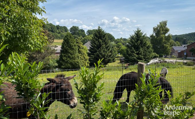 Gezellig, hondvriendelijk vakantiehuis voor 6  in Trois-Ponts, Ardennen
