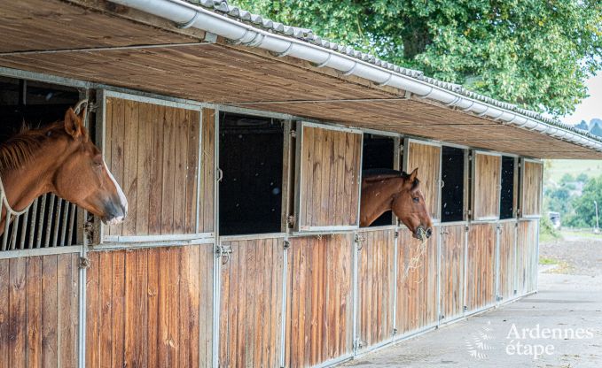 Vakantiehuis in Trois-Ponts voor 2/4 personen in de Ardennen