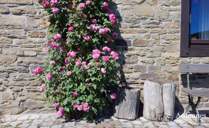 Vakantiehuis in Trois-Ponts voor 8 personen in de Ardennen
