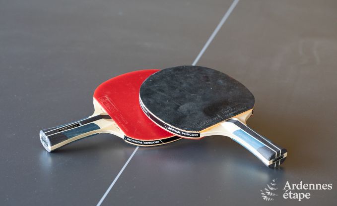 Comfortabel vakantiehuis in Trois-Ponts voor 16 personen