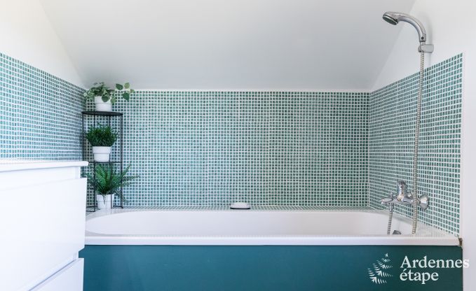 Vakantiehuis in Trois-Ponts voor 10/11 personen in de Ardennen