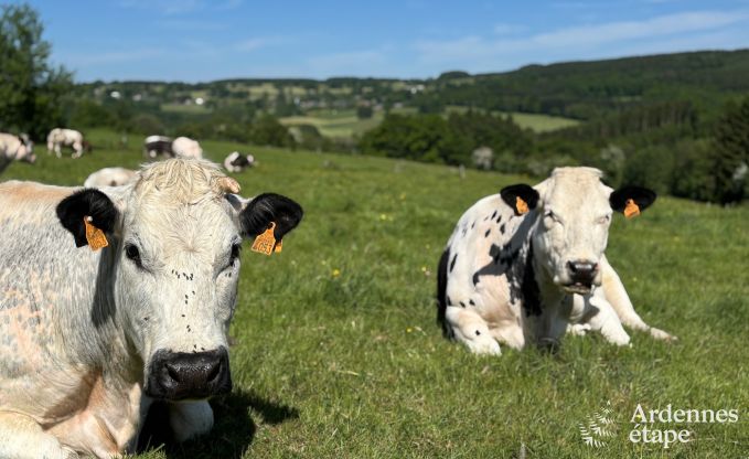 Oude gerenoveerde schuur voor 10 personen op de C�tes de Wanne