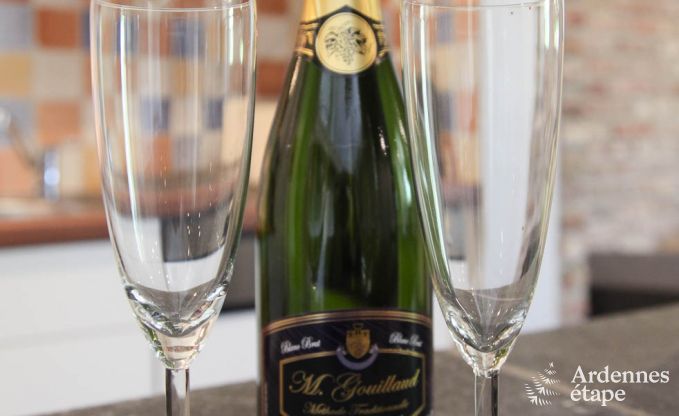 Vakantiehuis in Trois-Ponts voor 8 personen in de Ardennen