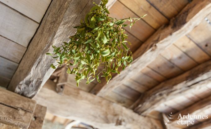 Vakantiehuis in Trois-Ponts voor 8 personen in de Ardennen