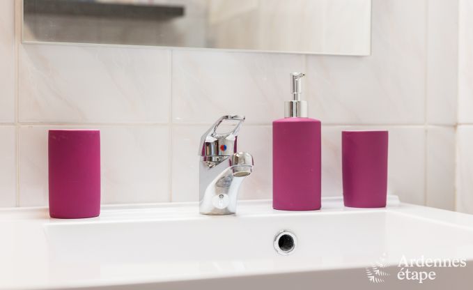 Appartement in Trois-Ponts voor 2/4 personen in de Ardennen