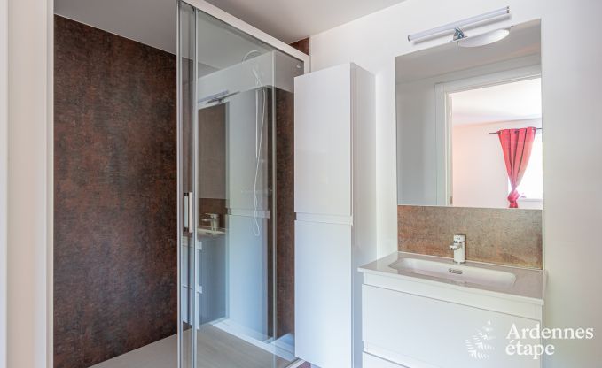 Ruime loft voor 5 personen met 2 slaapkamers, jacuzzi en priv�terras in Trois-Ponts