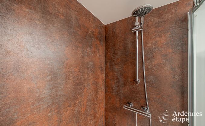 Ruime loft voor 5 personen met 2 slaapkamers, jacuzzi en priv�terras in Trois-Ponts