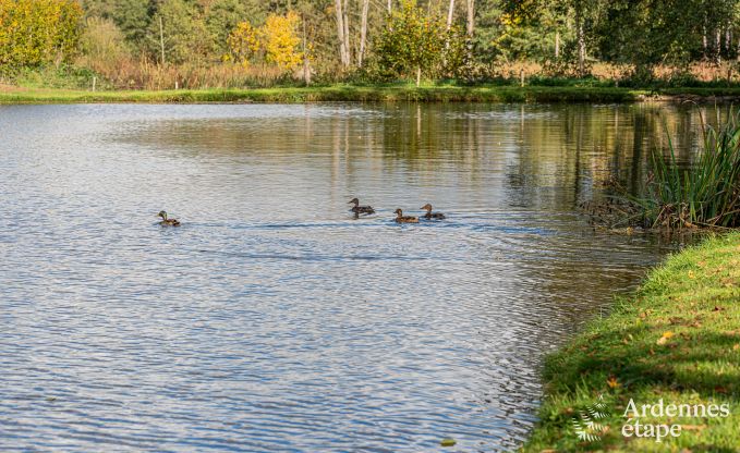 Ruime chalet voor 8 personen in Trois-Ponts met binnen-buitenzwembad, sauna en privterras aan het water