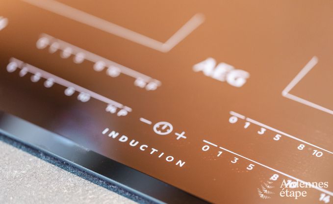 Vakantiehuis in Trois-Ponts voor 10/11 personen in de Ardennen