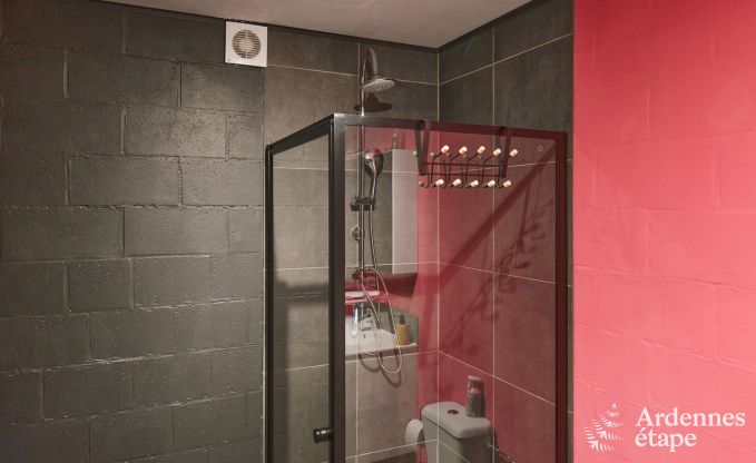 Vakantiehuis in Trois-Ponts voor 8 personen met sauna, speelkamer en priv�tuin