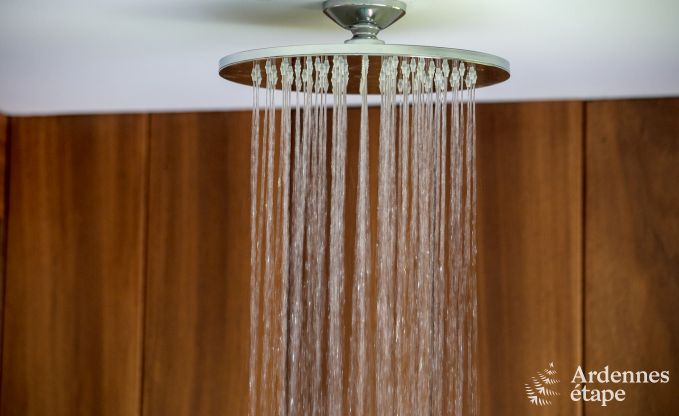 Vakantiehuis in Trois-Ponts voor 10 personen in de Ardennen