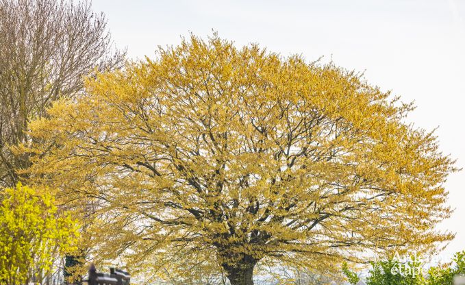 Charmant vakantiehuis in Trooz, Ardennen