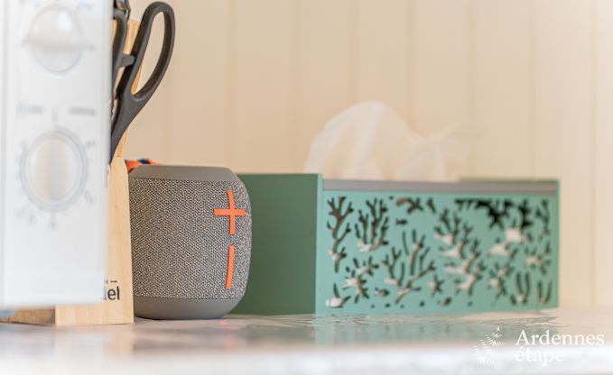 Uniek: tiny house voor 4 personen in Vaux-sur-Sure