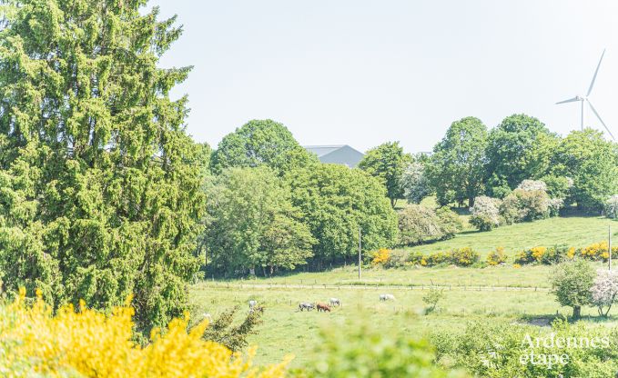 Uniek: tiny house voor 4 personen in Vaux-sur-Sure
