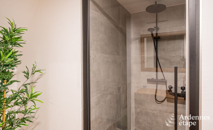 Vakantieverblijf in voormalige kapel in Vaux-sur-S�re, in de Ardennen