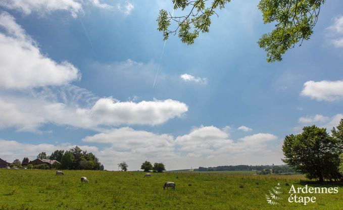 Luxe villa in Vaux-sur-Sre voor 6/9 personen in de Ardennen