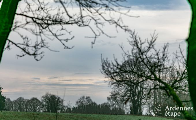 Vakantiehuis in Vaux-sur-Sre voor 2/3 personen in de Ardennen
