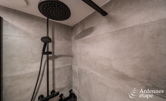 Vakantieverblijf in voormalige kapel in Vaux-sur-S�re, in de Ardennen