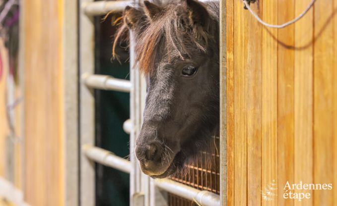 Vakantie op de boerderij in Vaux-sur-S�re voor 22 personen in de Ardennen